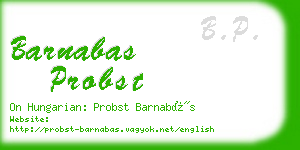 barnabas probst business card